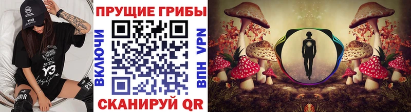 Галлюциногенные грибы Psilocybe  Купить где  Слободской 